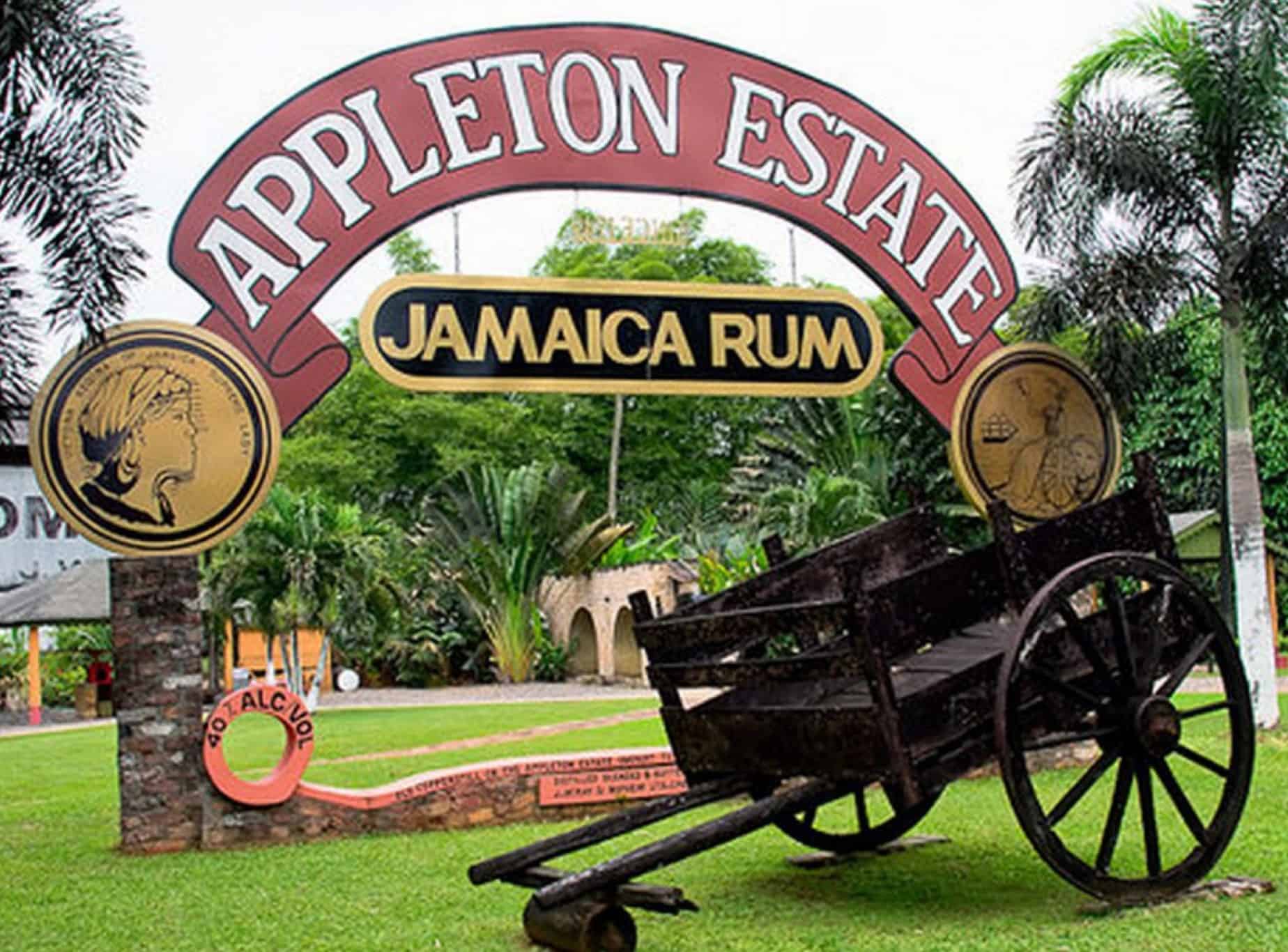 Appleton Estate Rum or YS Falls Tour from Montego Bay Cruise